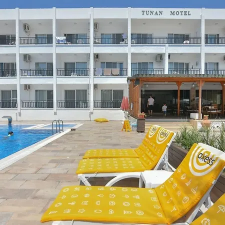 Tunan Ayvalı